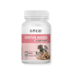 Costus_Indien