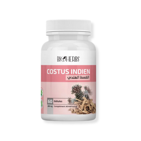 Costus_Indien