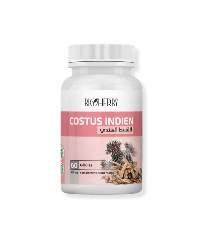 Costus_Indien