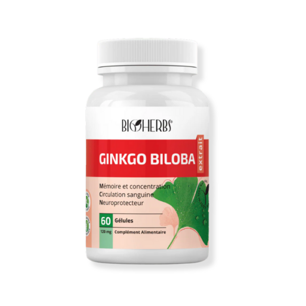 Ginkgo_Biloba