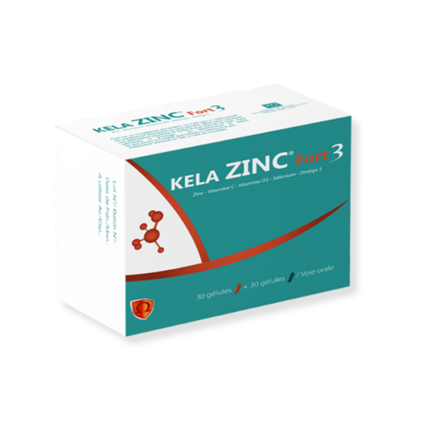 KELA_ZINC_FORT_3_B_60[1]