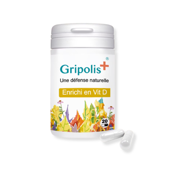 GRIPOLIS+[1]