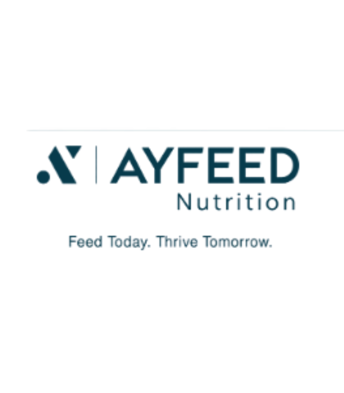 AYFEED LOGO