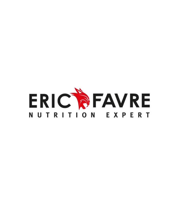 logo ERIC FAVRE